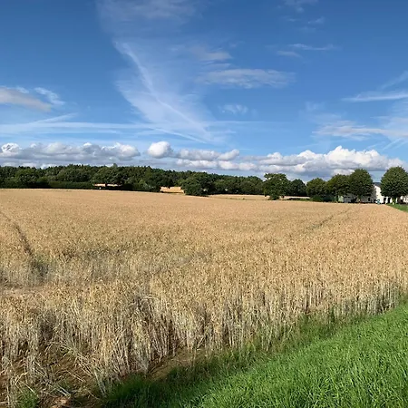Hygge To Huus In * Westerholz